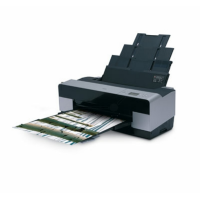 Epson Stylus Pro 3800