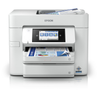 Epson WorkForce Pro WF-C 4810 DTWF