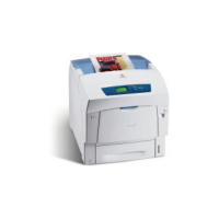 Xerox Phaser 6250 V MB